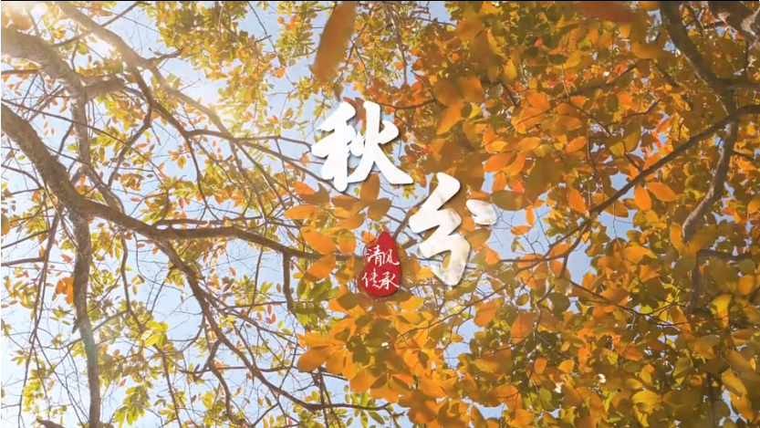 清风·传承丨秋分：又是一年好“丰”景